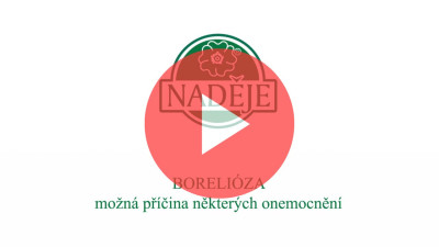 Boreli�za - evawellness.sk & Mgr. Jarmila Podhorn�