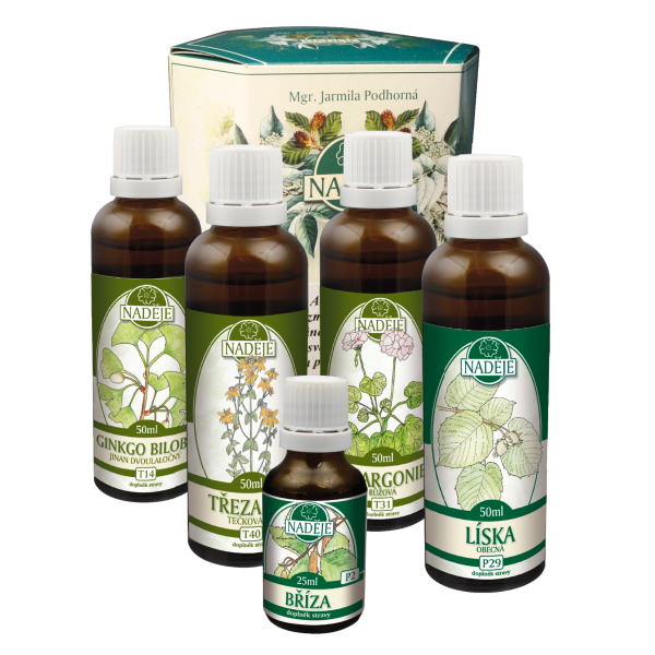 K35 kúra Cievy, mozgová činnosť po cievnej príhode