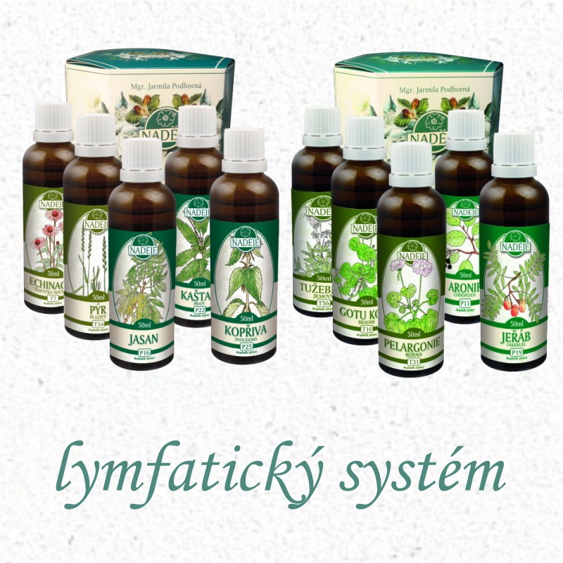 Kúra Lymfatický systém K47+K47A