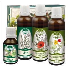 K01A k�ra Mo�ov� cesty, �adviny - z�paly