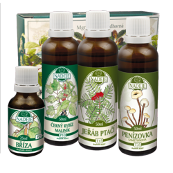 K04 k�ra Gynekologick� z�paly