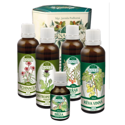 K11 k�ra K��ov� �ily a hemoroidy