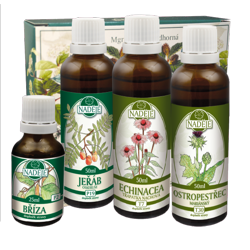 K11A k�ra K��ov� �ily a hemoroidy - pokra�ovanie