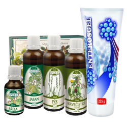 O�ista organizmu a detox