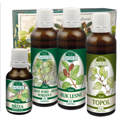 K21a k�ra K�by a pohybov� apar�t - pokra�ovanie