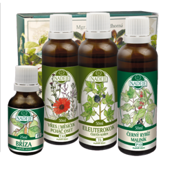 K32 k�ra Gynekologick� n�dory