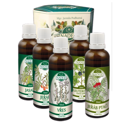 K32A k�ra Gynekologick� n�dory - pokra�ovanie