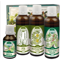 K42 k�ra Regener�cia �ensk�ho organizmu