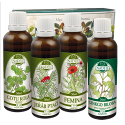 K42A k�ra Regener�cia �ensk�ho organizmu - pokra�ovanie