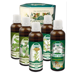 K44A k�ra Herkules 2 - pokra�ovanie