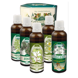 K45A k�ra Afrodita 2 - pokra�ovanie