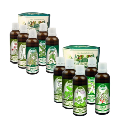 K�ra 47 + K47A Lymfatick� syst�m