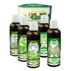 K47A k�ra Lymfatick� syst�m - pokra�ovanie