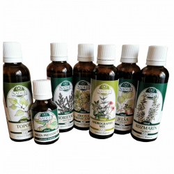 K�ra BOLESTI K�BOV, BOR�LIE