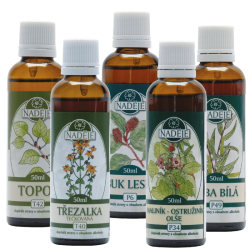 NK21 k�ra k�by a pohybov� apar�t