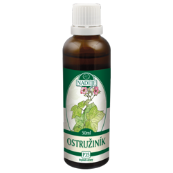 P35 Ostru�ina �ernicov� - reuma, dna, skler�za