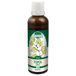 P46 Topo� �ierny - probl�my chrbtice, z�pal, vir�za