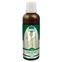P54 Divozel ve�kokvet� - alergia, astma, slezina