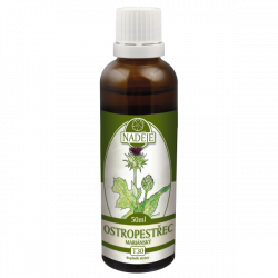 T30 Pestrec mari�nsky - pe�en, �l�n�k, l�tkov� v�mena