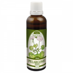 T31 Mu�k�t ru�ov� - srdce, cievy, z�pal