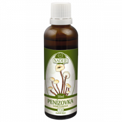 T35 Plamienka zamatovohl�bikov� - detoxik�cia organizmu