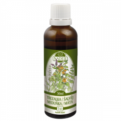 T41 �ubovn�k �alvia M�ta Medovka - cukrovka, z�paly, skler�za