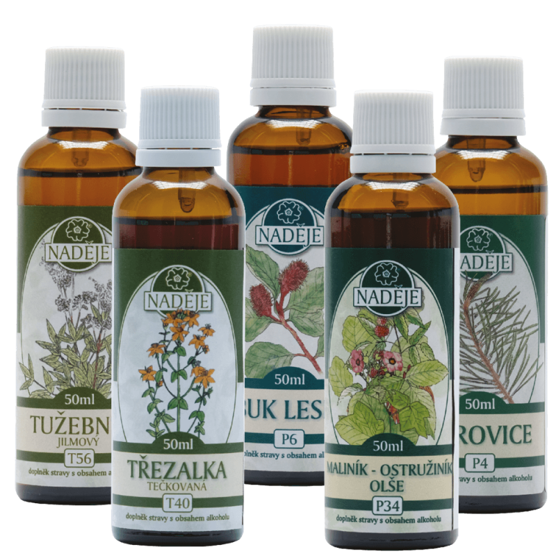 NK25 kúra výživa kostí a kĺbov