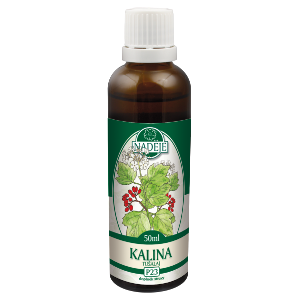 P23 Kalina obyčajná - alergia, astma, ekzém