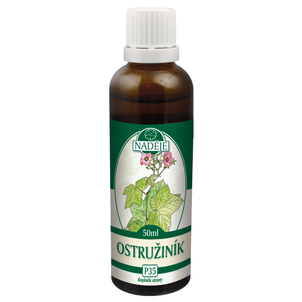 P35 Ostružina černicová - reuma, dna, skleróza