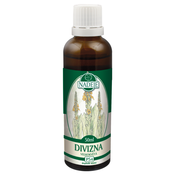 P54 Divozel veľkokvetý - alergia, astma, slezina
