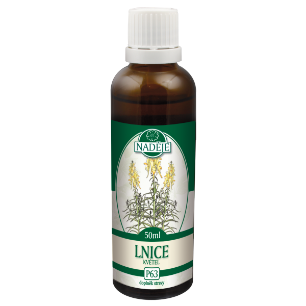 P63 Pyštek obyčajný - trávenie, svaly, prostata